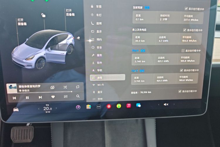 Tesla Model Y 2021 car image #16