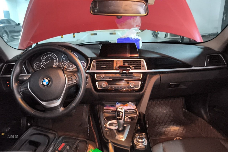 BMW 3 Series 2016 car image #11