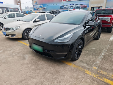 Tesla Model Y 2021 Tesla Model Y 2021 car image