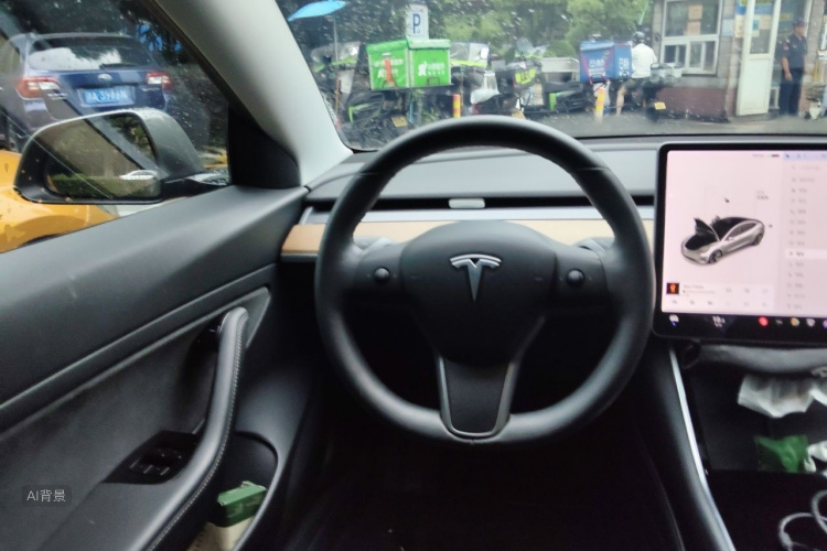 Tesla Model 3 2020 car image #12