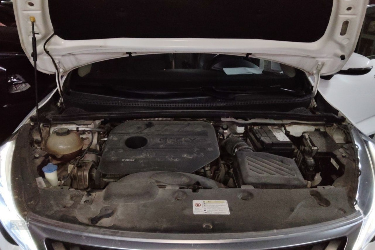 GEELY Emgrand GS 2020 car image #22