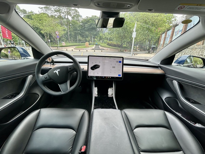 Tesla Model 3 2020 car image #6