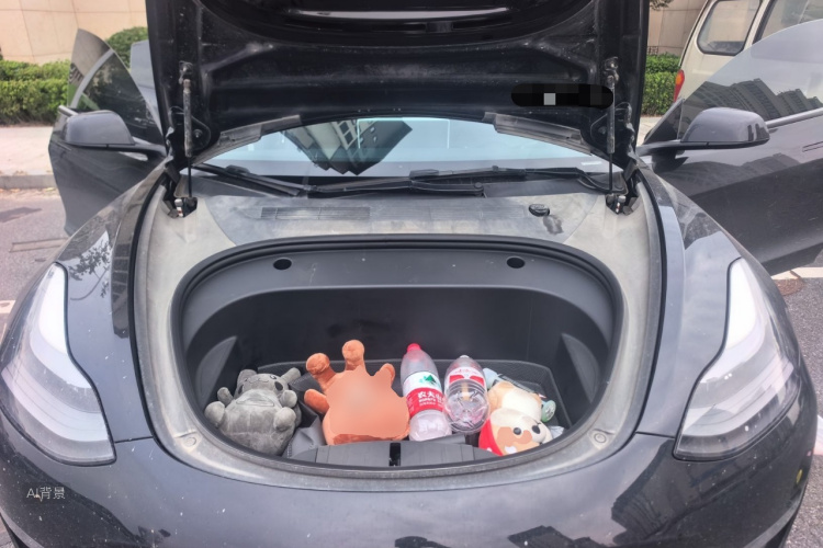 Tesla Model 3 2021 car image #22