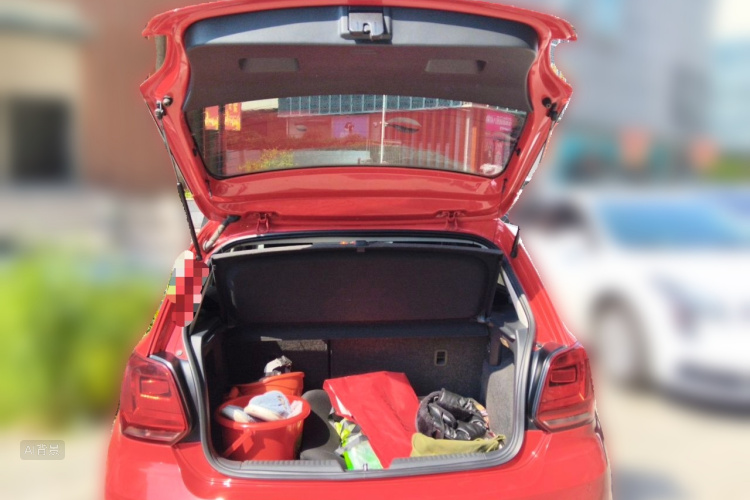 Volkswagen Polo 2016 car image #21