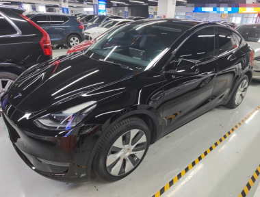 Tesla Model Y 2022 car image 