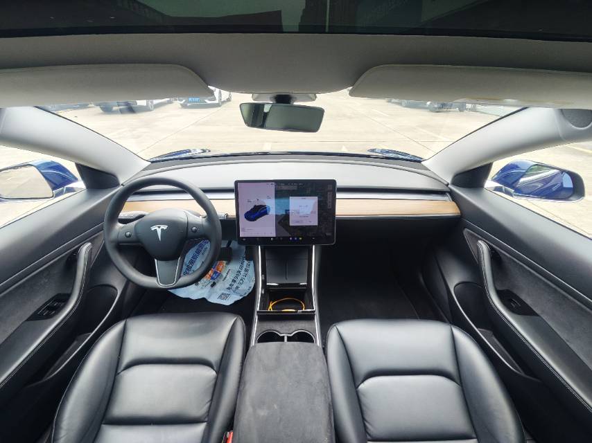 Tesla Model 3 2021 car image #7