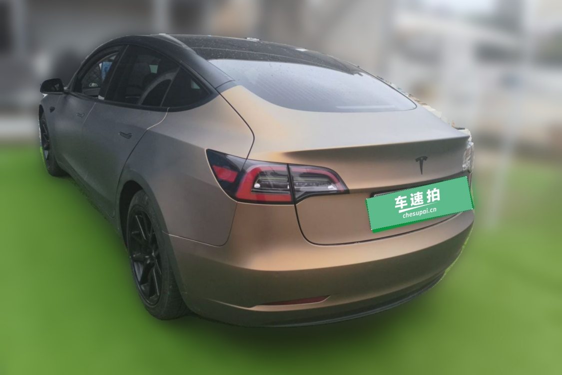 Tesla Model 3 2020 #3 Tesla Model 3 2020 immagine di auto #3