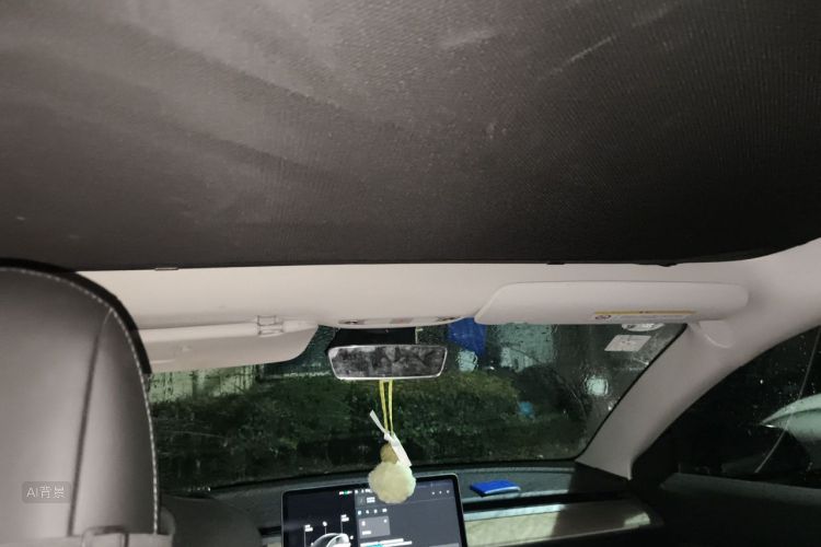 Tesla Model 3 2020 car image #20