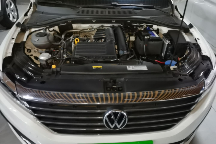 Volkswagen Lavida 2021 car image #20