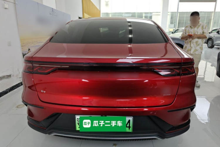 BYD Han 2022 #6 BYD Han 2022 immagine di auto #6