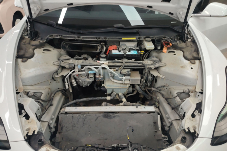 Tesla Model 3 2020 car image #20