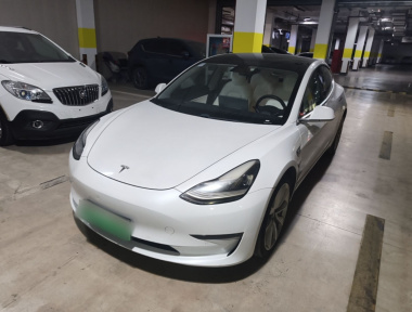 Tesla Model 3 2020 Tesla Model 3 2020 car image