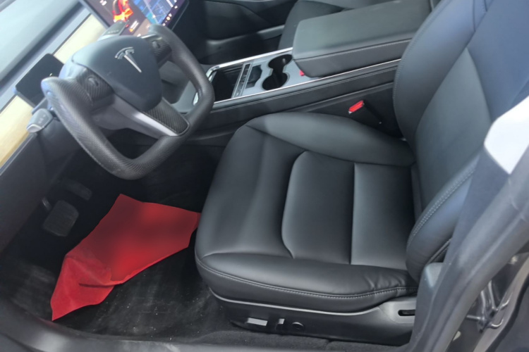 Tesla Model 3 2021 car image #15
