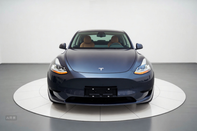 Tesla Model Y 2022 car image #3