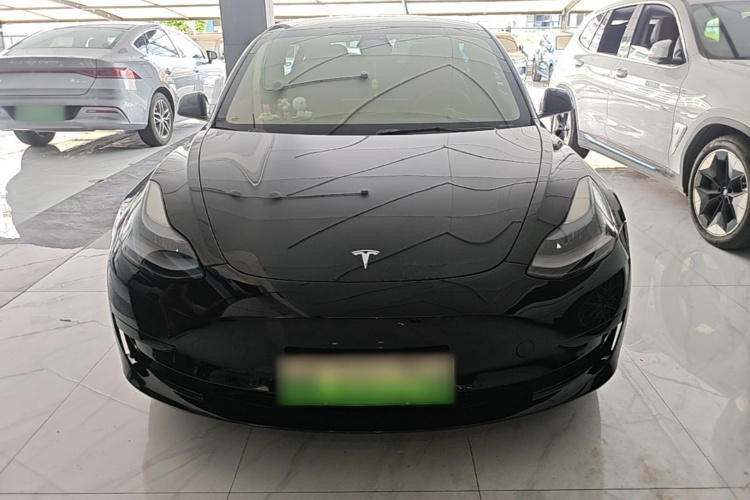 Tesla Model 3 2022 #3 Tesla Model 3 2022 car image #3