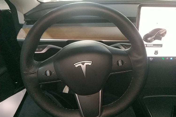 Tesla Model 3 2022 car image #11