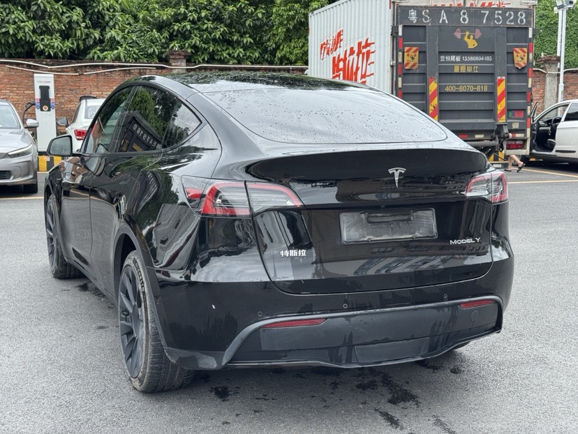 Tesla Model Y 2021 car image #8