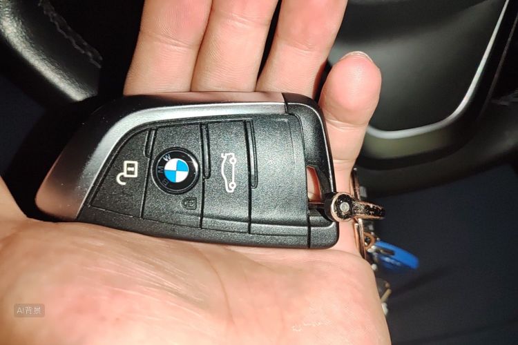 BMW X1 2017 car image #10