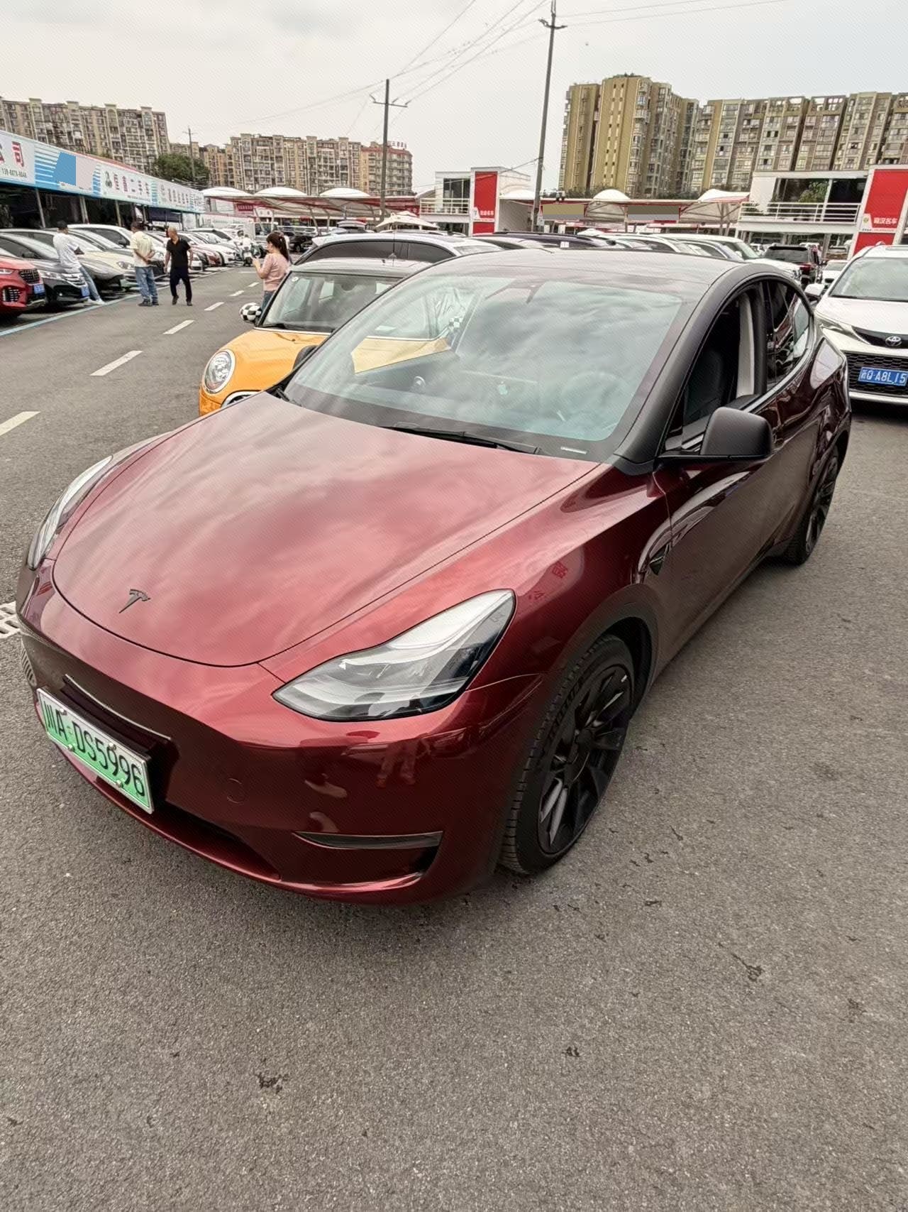 Tesla Model Y 2022 immagine di auto 