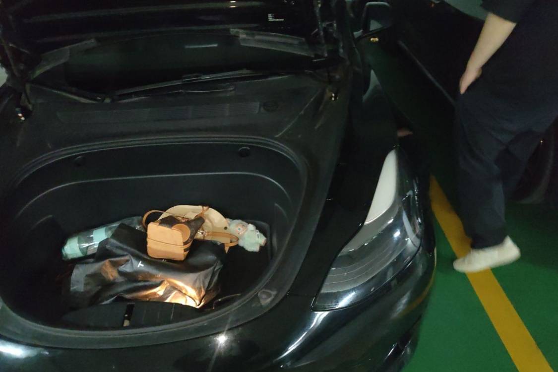 Tesla Model 3 2021 #12 Tesla Model 3 2021 car image #12