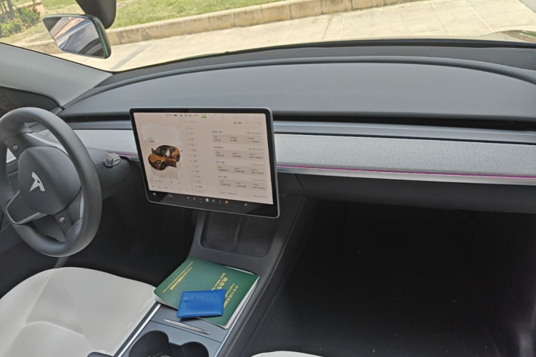 Tesla Model Y 2024 #10 Tesla Model Y 2024 car image #10