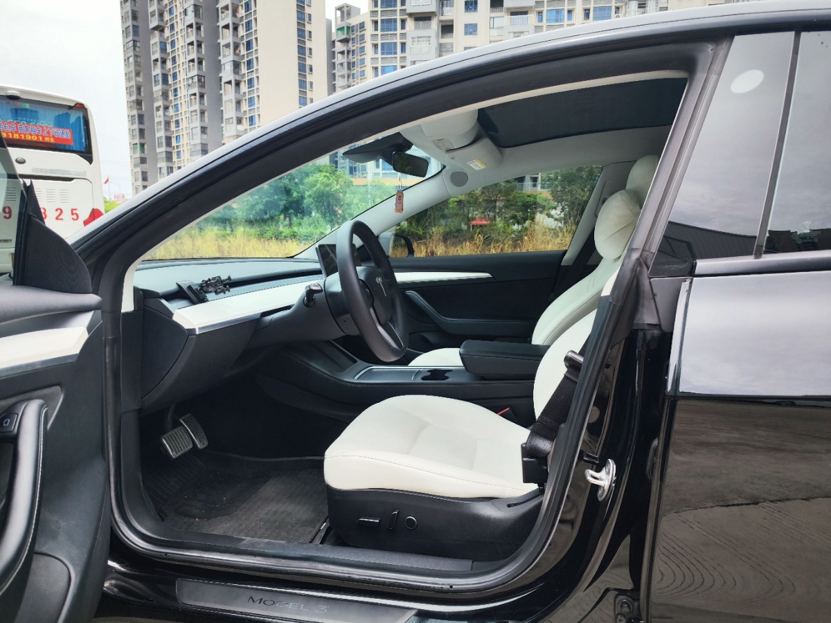 Tesla Model 3 2021 car image #8