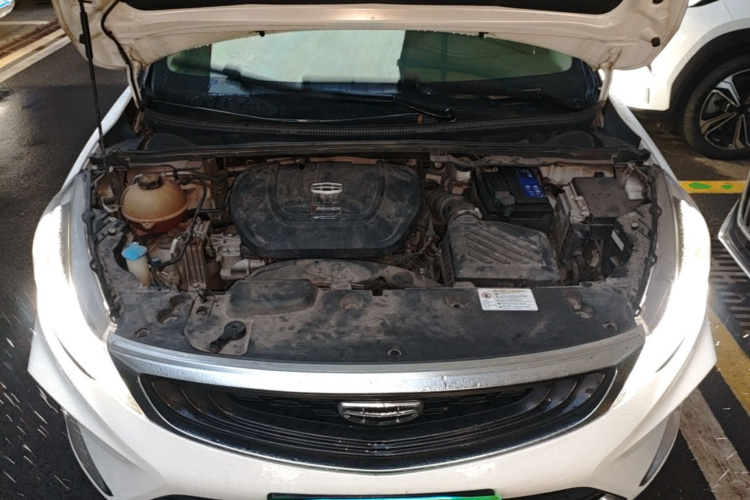 GEELY Emgrand GS 2021 immagine di auto #20