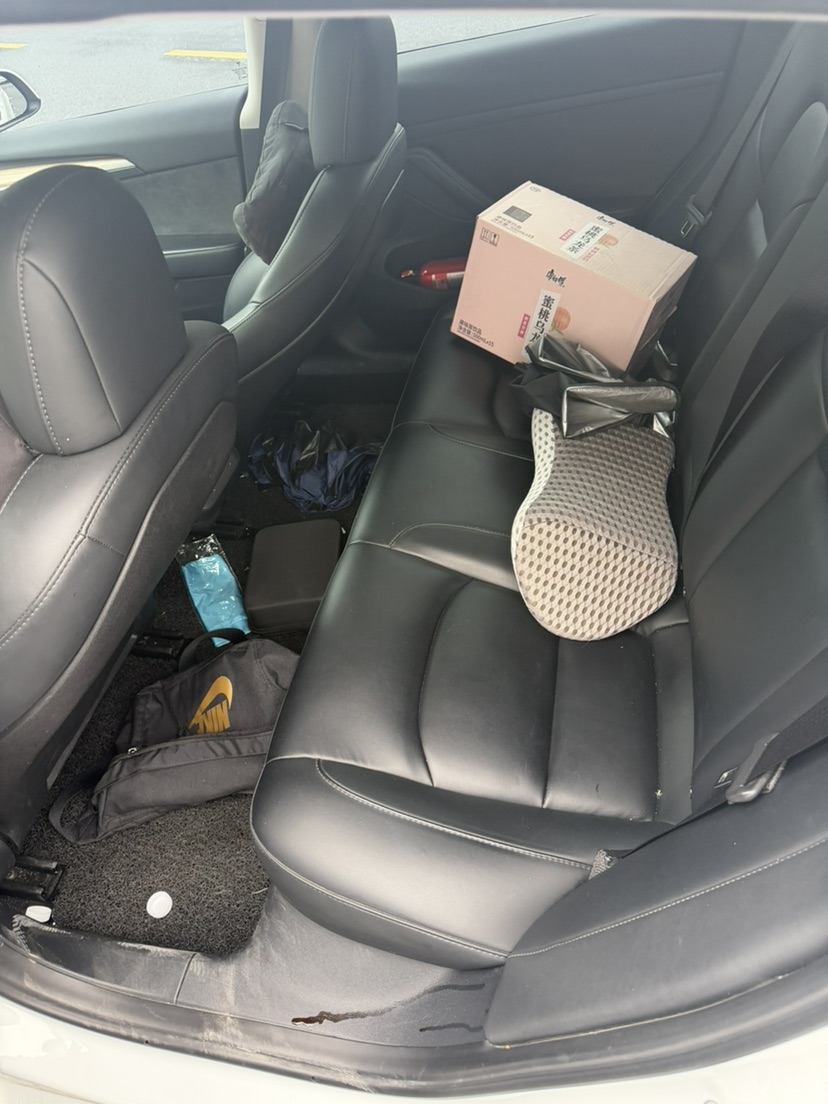Tesla Model 3 2023 #4 Tesla Model 3 2023 car image #4