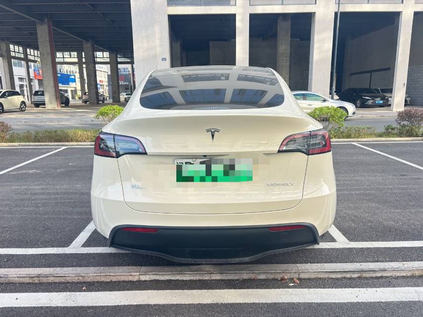 Tesla Model Y 2024 car image #8