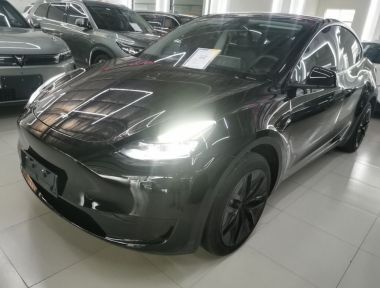 Tesla Model Y 2023 Tesla Model Y 2023 car image