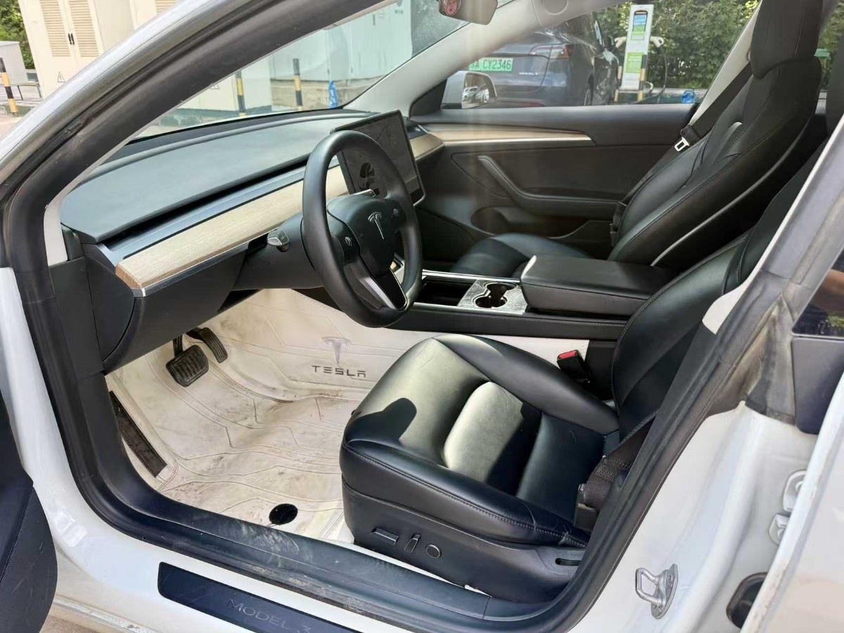 Tesla Model 3 2021 car image #2