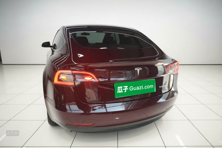 Tesla Model 3 2020 car image #6
