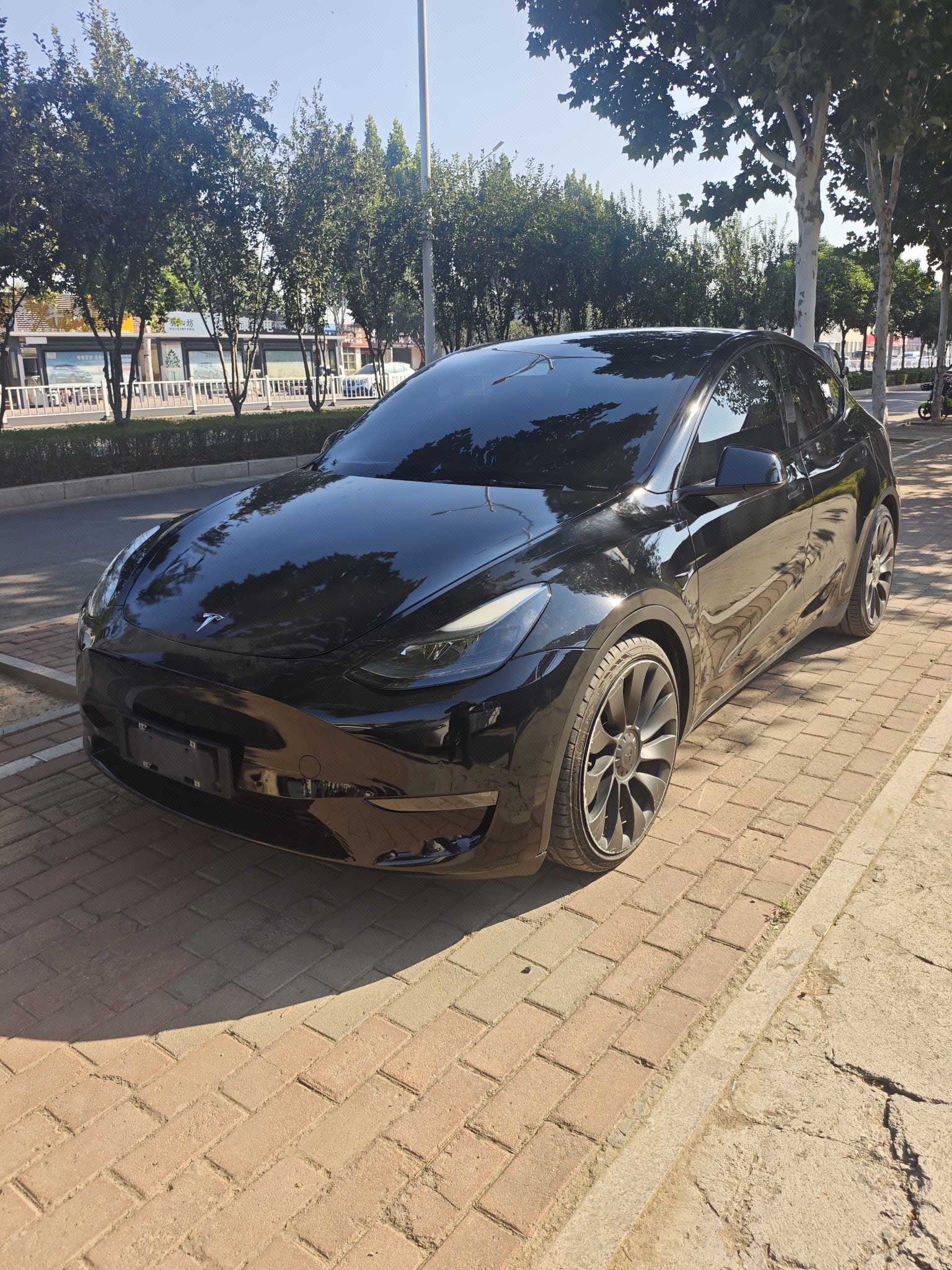 Tesla Model Y 2022 car image 