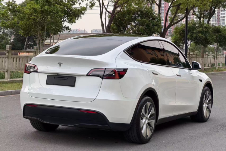 Tesla Model Y 2021 #8 Tesla Model Y 2021 car image #8