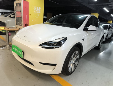 Tesla Model Y 2022 Tesla Model Y 2022 car image