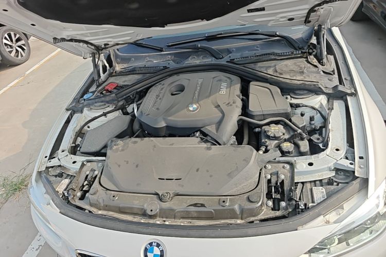 BMW 3 Series 2017 car image #20