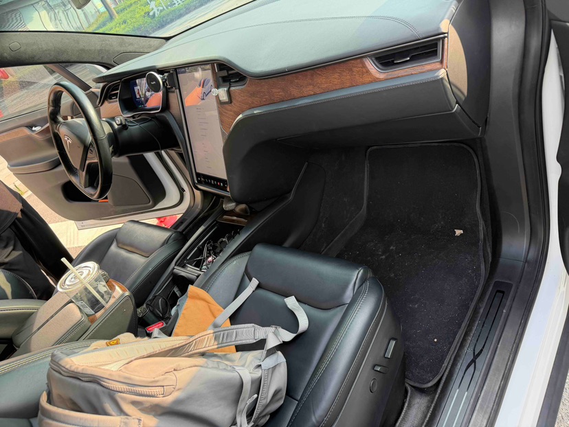 Tesla Model X 2021 car image #6