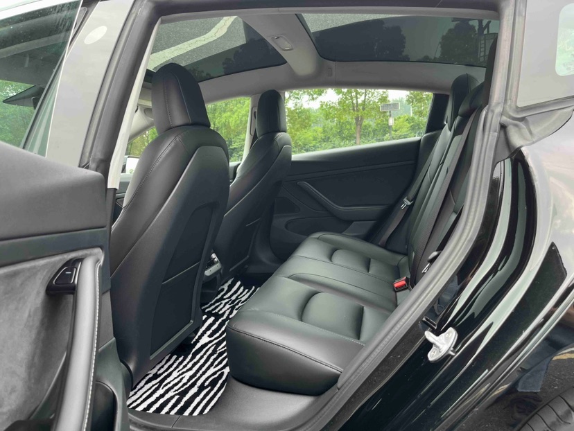 Tesla Model 3 2020 car image #6