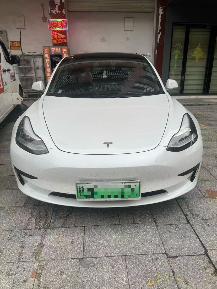 Tesla Model 3 2021 Tesla Model 3 2021 immagine di auto