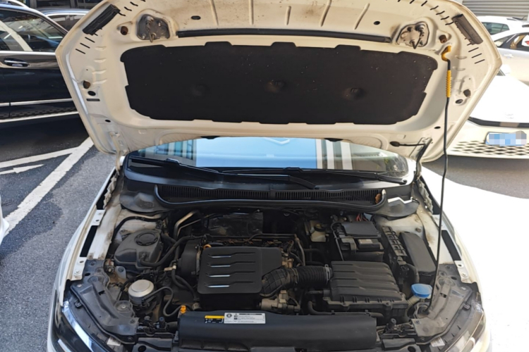 Volkswagen Polo 2021 car image #20