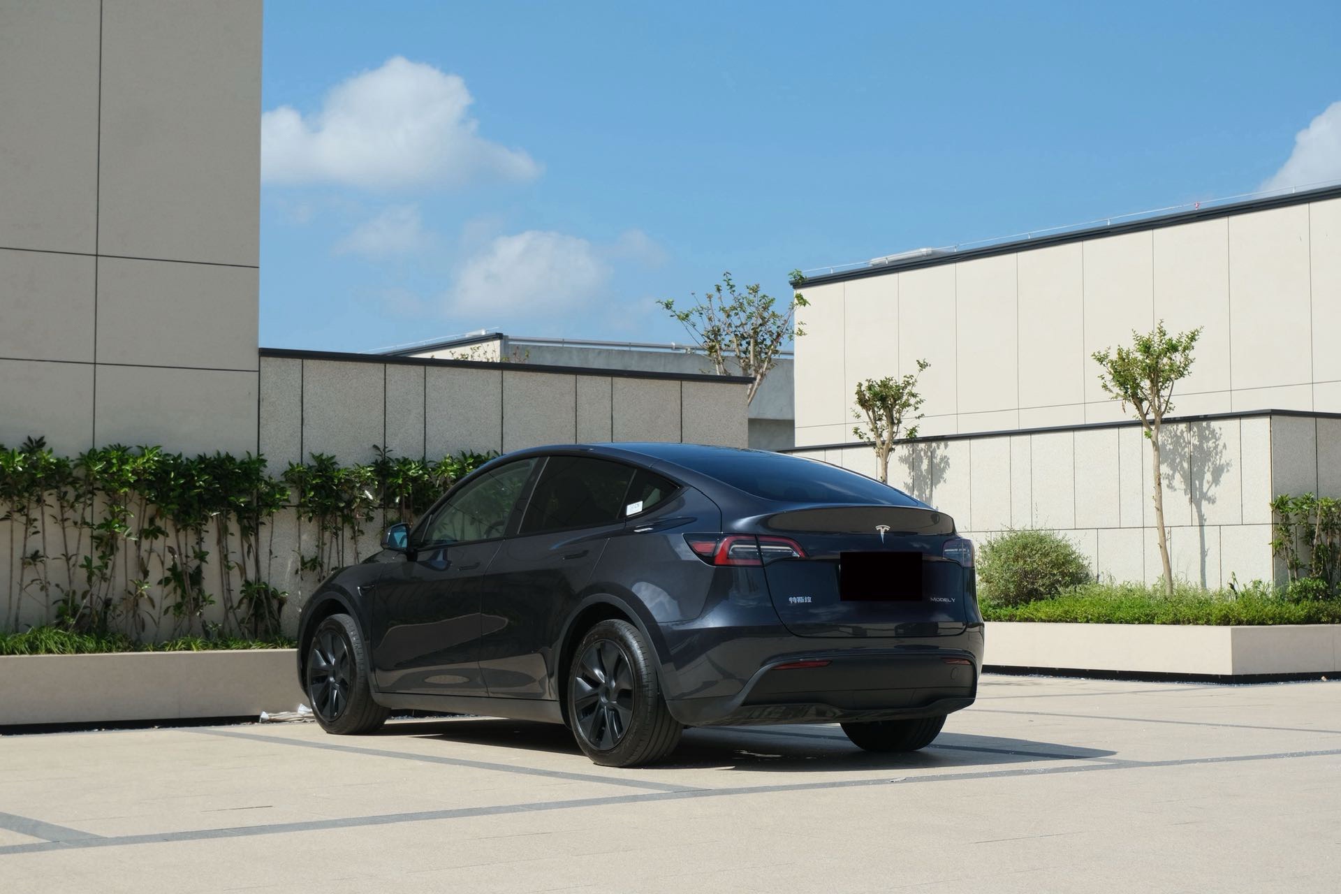 Tesla Model Y 2025 car image #4