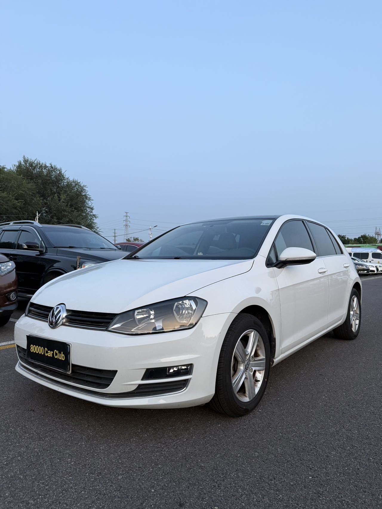 Volkswagen Golf 2015 Volkswagen Golf 2015 car image