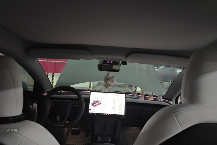Tesla Model 3 2024 car image #20