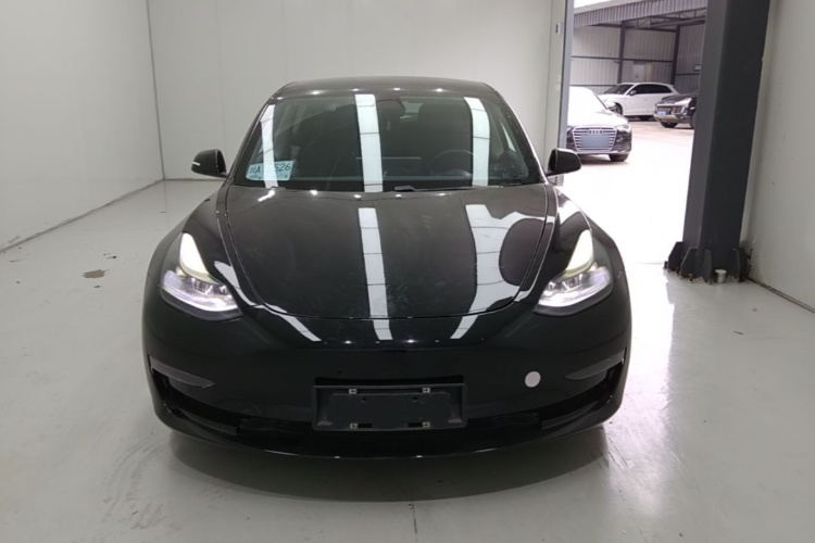 Tesla Model 3 2021 car image #3