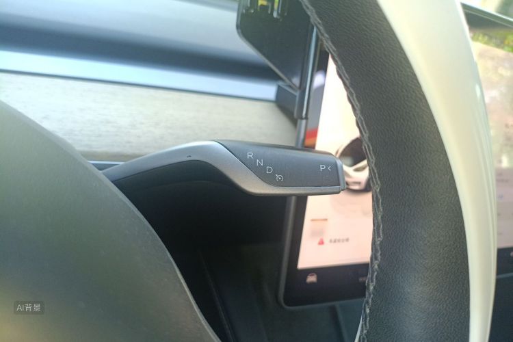 Tesla Model Y 2022 car image #16