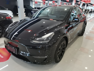 Tesla Model Y 2021 car image 