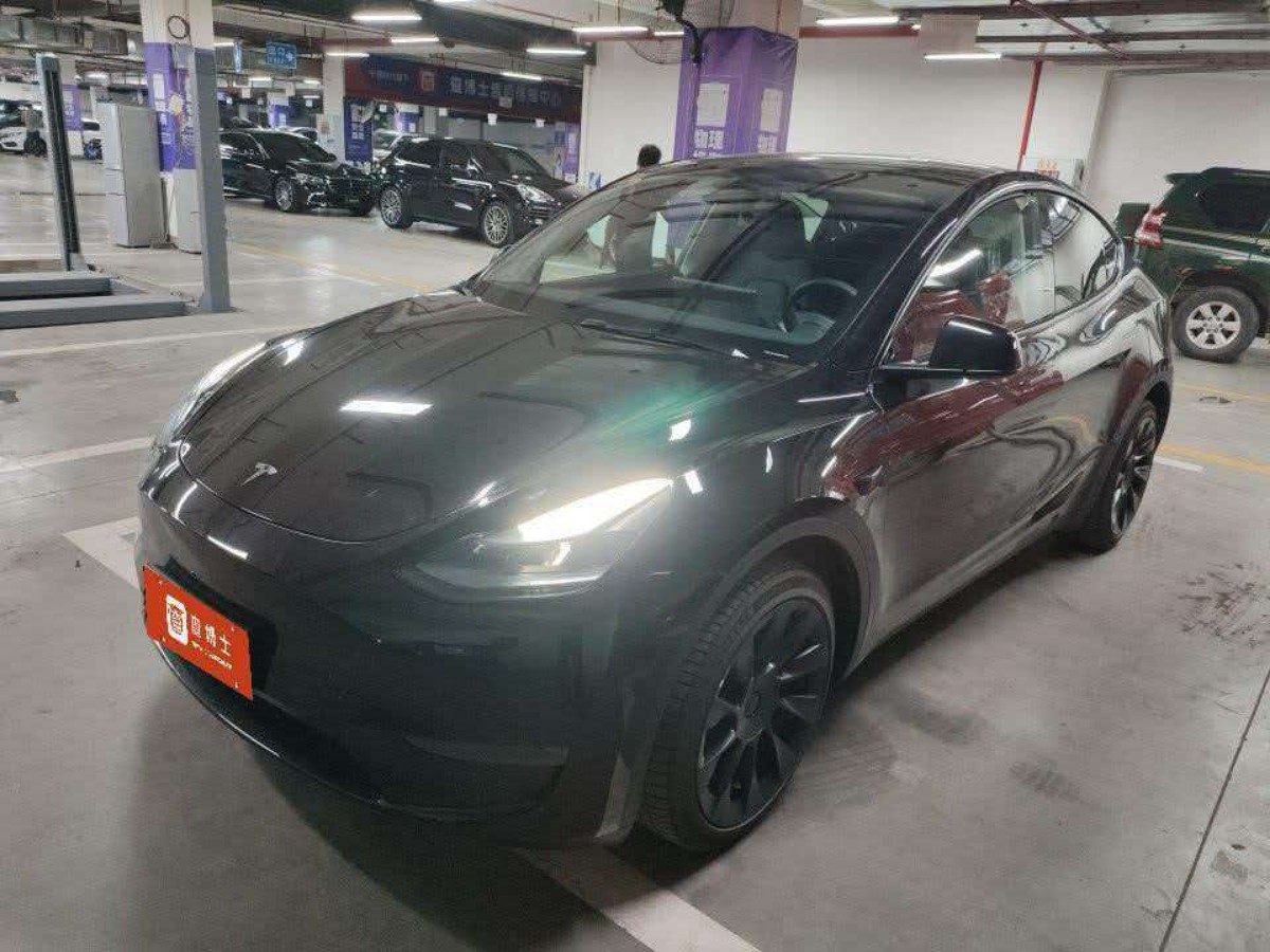 Tesla Model Y 2023 car image 
