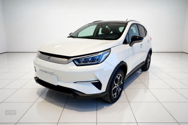 BYD Yuan Pro 2021 immagine di auto #2