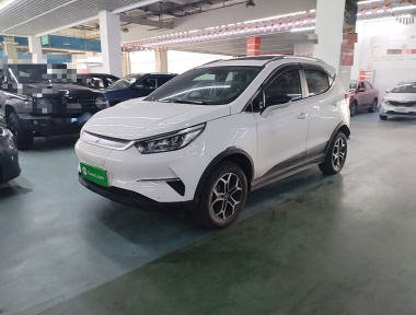 BYD Yuan Pro 2021 immagine di auto 