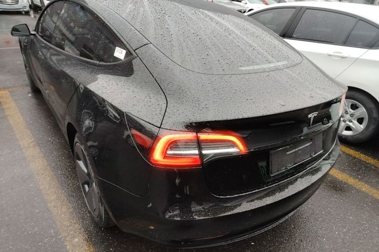 Tesla Model 3 2021 car image #7
